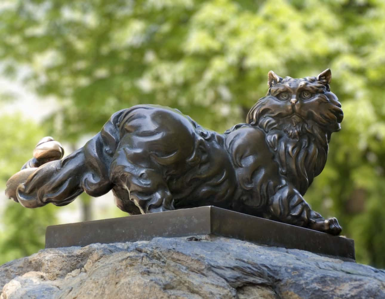 Tour “Mysterious Kyiv”