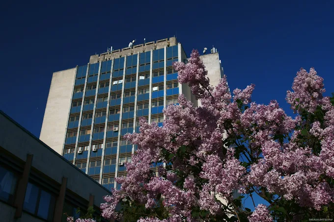 Екскурсія: «Святошинська сюїта»