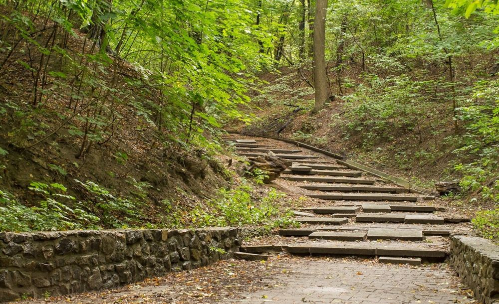 Екскурсія: «Нивки. Паркова симфонія»